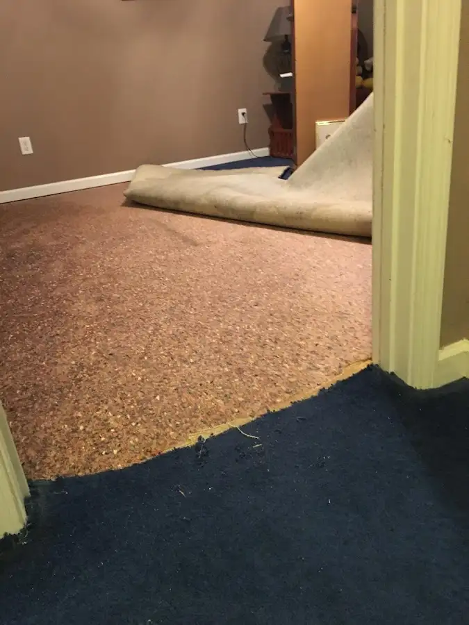 Carpet pad removal revealing water damage during Drying & Dehumidification in Severna Park